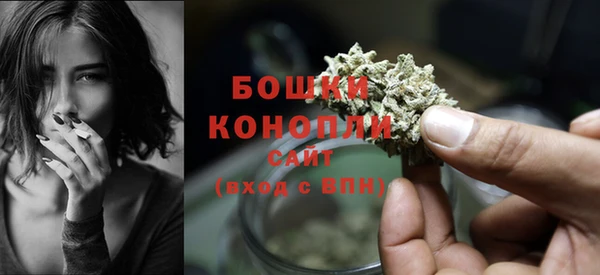 spice Каменка