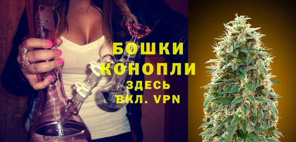a pvp Каменногорск