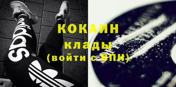 spice Каменка