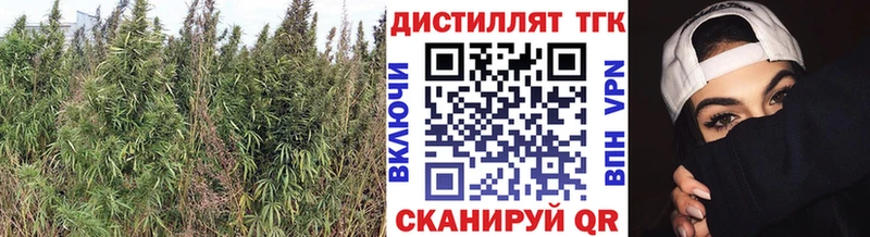 Купить закладки  Бокситогорск  ТГК вейп 
