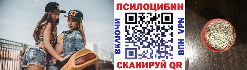 Псилоцибиновые грибы Psilocybe  Купить где  Бокситогорск 